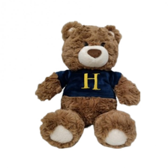 Harry Potter 10in. Sweatshirt Gift Bear Plush...