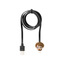 Harry Potter Type-C Charging Cable(Harry Potter)