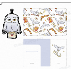 Σετ Αξεσουάρ Ταξιδίου Harry Potter Hedwig