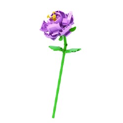 Τουβλάκια Multiflora Rose Building Blocks