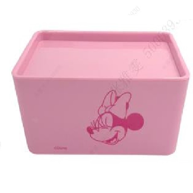 Plastic Box with Lid 100 Years Disney Minnie