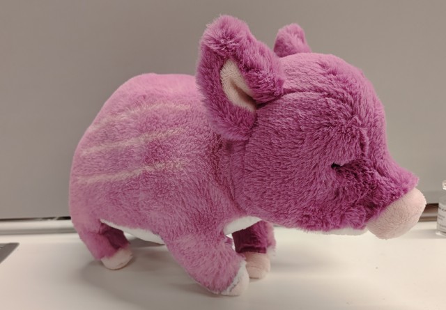 Plush Pig 21cm Pink